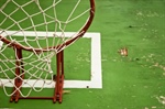Top 7 Court Accessories That Elevate Any Backyard Sport