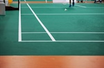 How to Design an Inclusive Commercial Game Court for Athletes of All Abilities