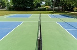 The Ultimate Minnesotan Playground: Designing Your Own Pickleball Court