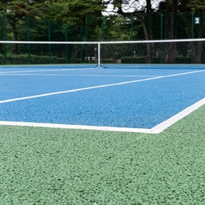 Landscaping Around Your Backyard Game Court: Plants That Thrive and Plants to Avoid
