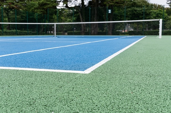 Landscaping Around Your Backyard Game Court: Plants That Thrive and Plants to Avoid