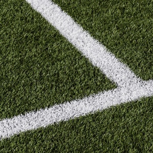 6 No-Mow Yard Ideas