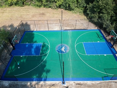 Outdoor residential sports court with a green and blue surface, featuring a central logo of the Minnesota Timberwolves, two basketball hoops, and a tennis net in Anoka.