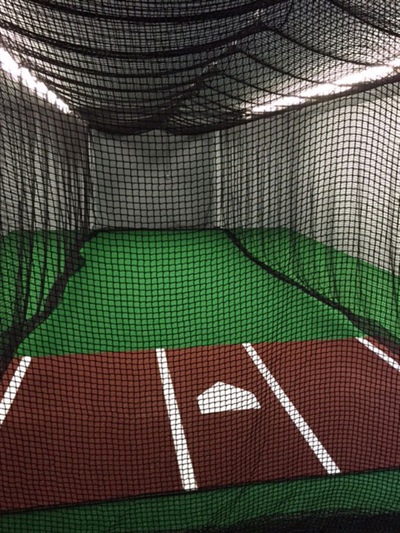 Indoor batting cage with faux turf and batting box in Empire.