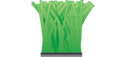 Birdie Green