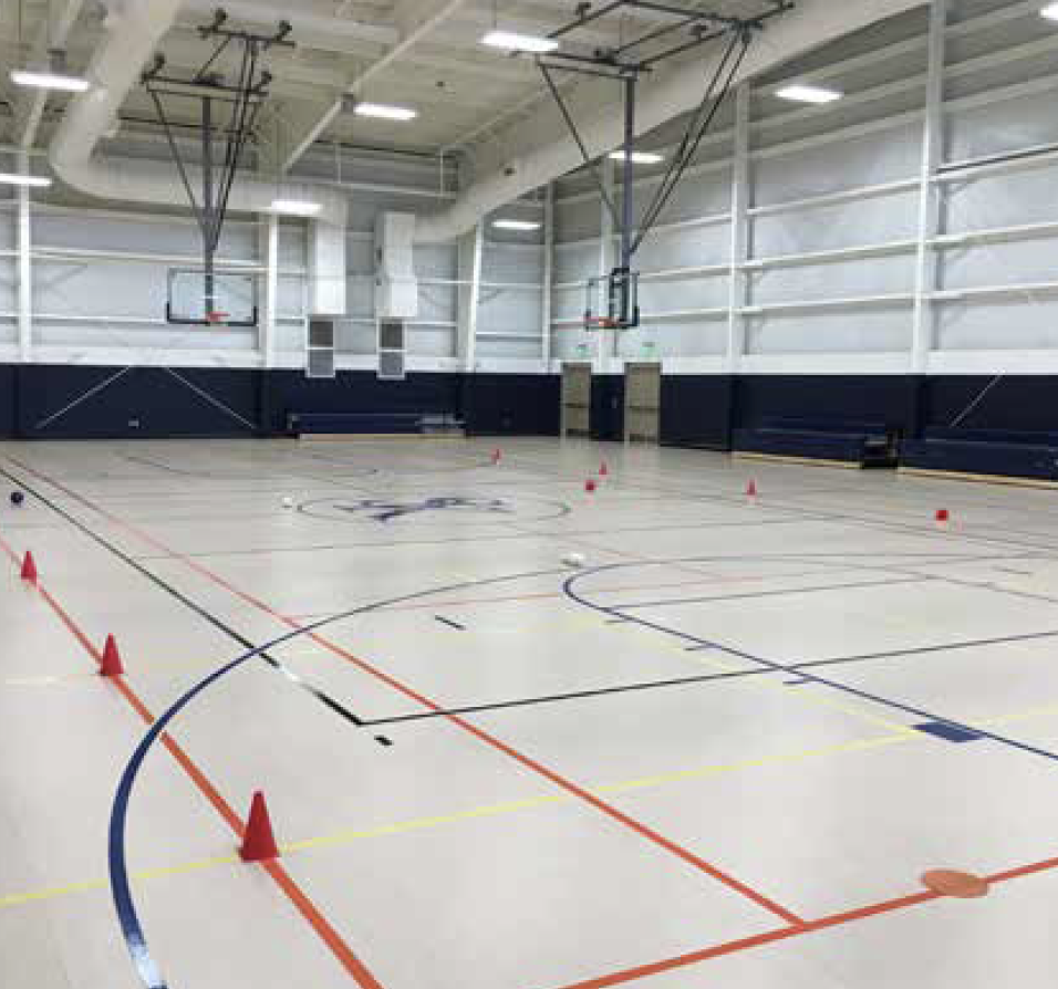 Linosport Surface